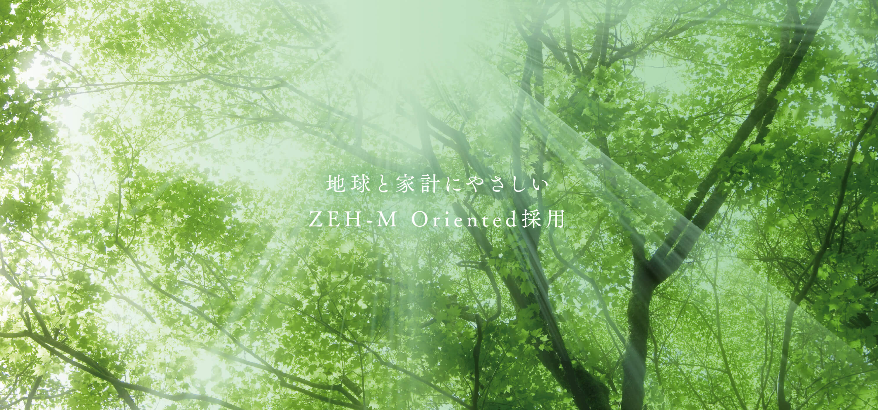 地球と家計にやさしいZEH-M Oriented採用