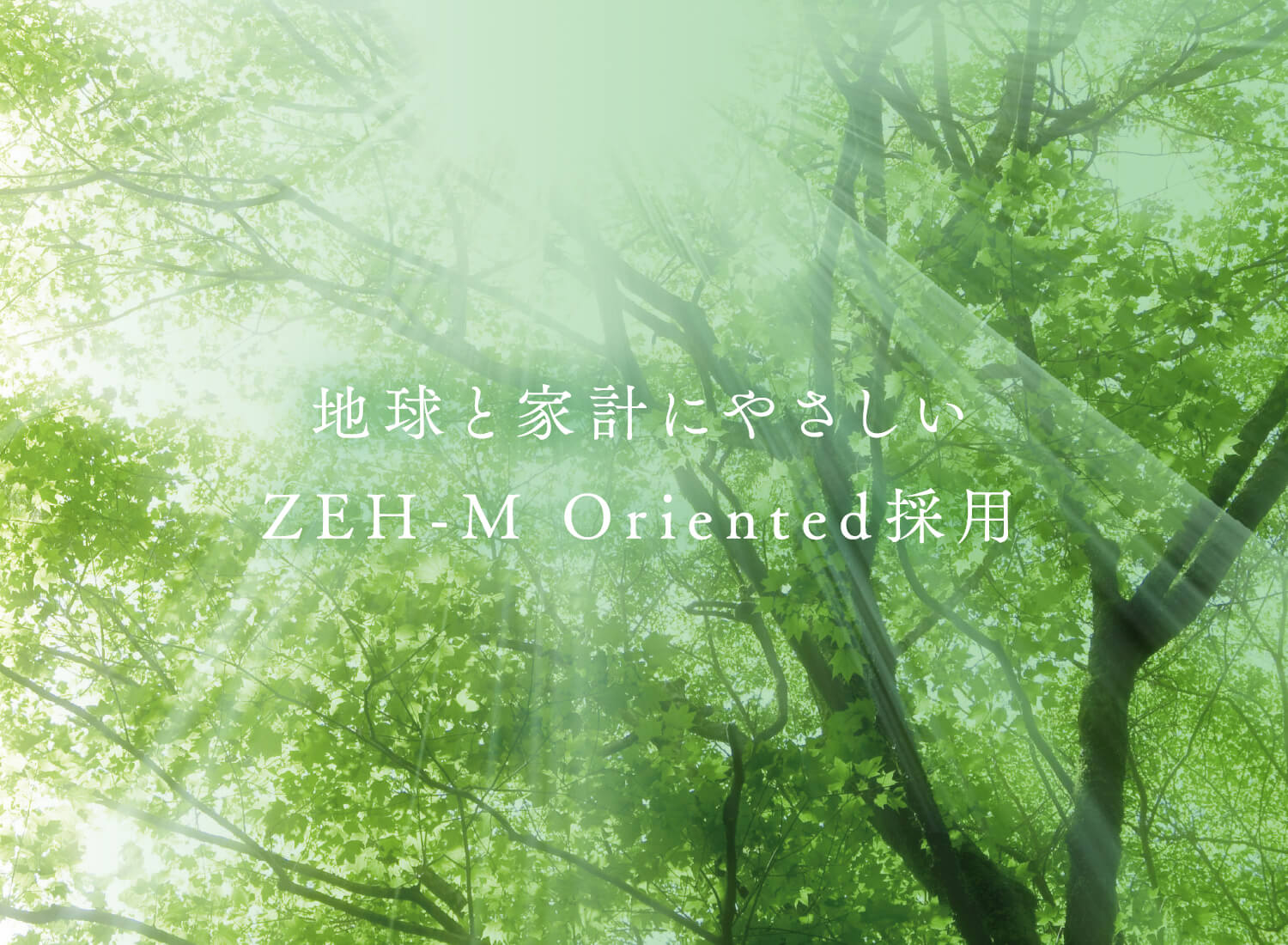 地球と家計にやさしいZEH-M Oriented採用